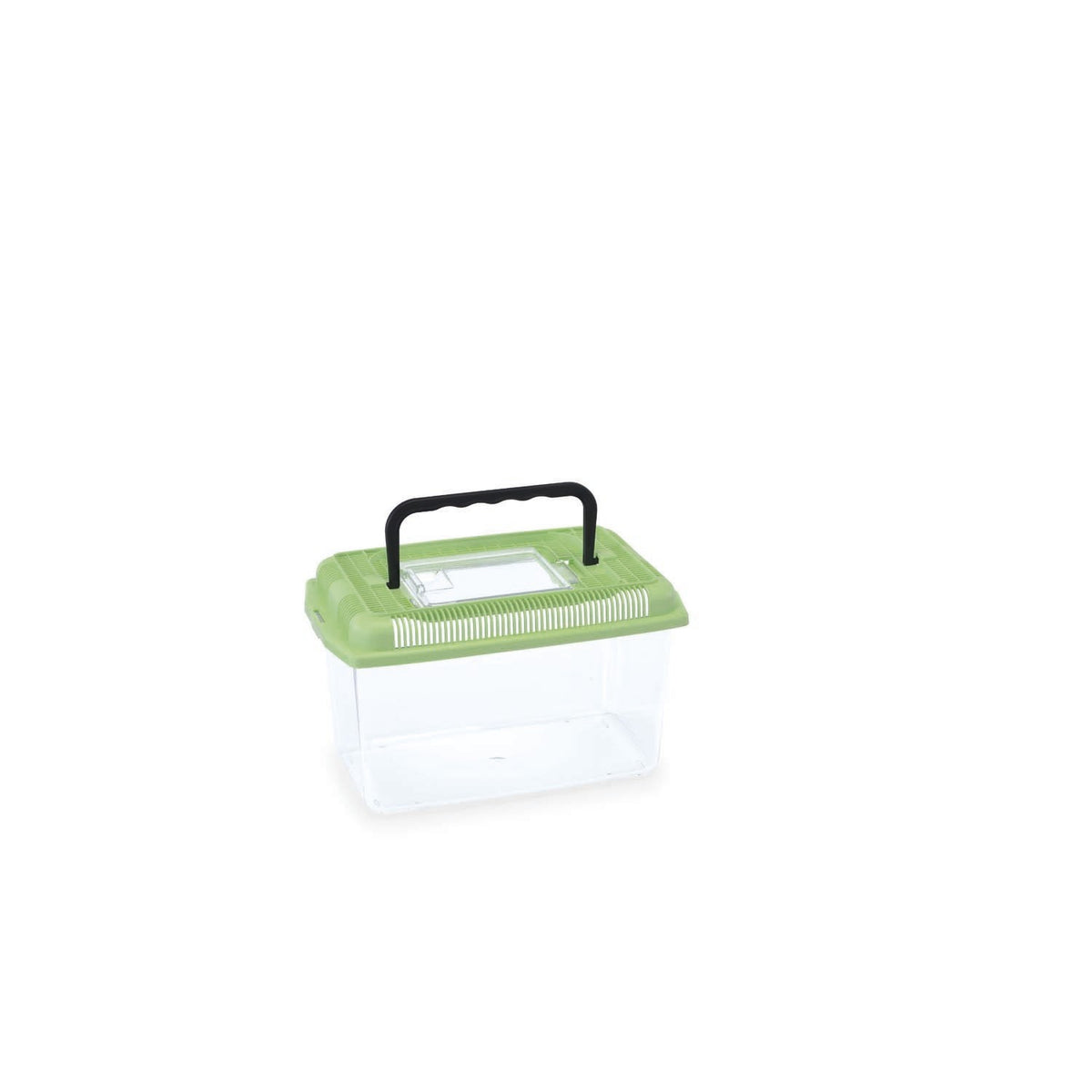 Tortuguera ARIEL SMALL, Colores Variados - Pack de 12 unidades