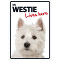 Señal A5 'West Highland Terrier - Lives Here'