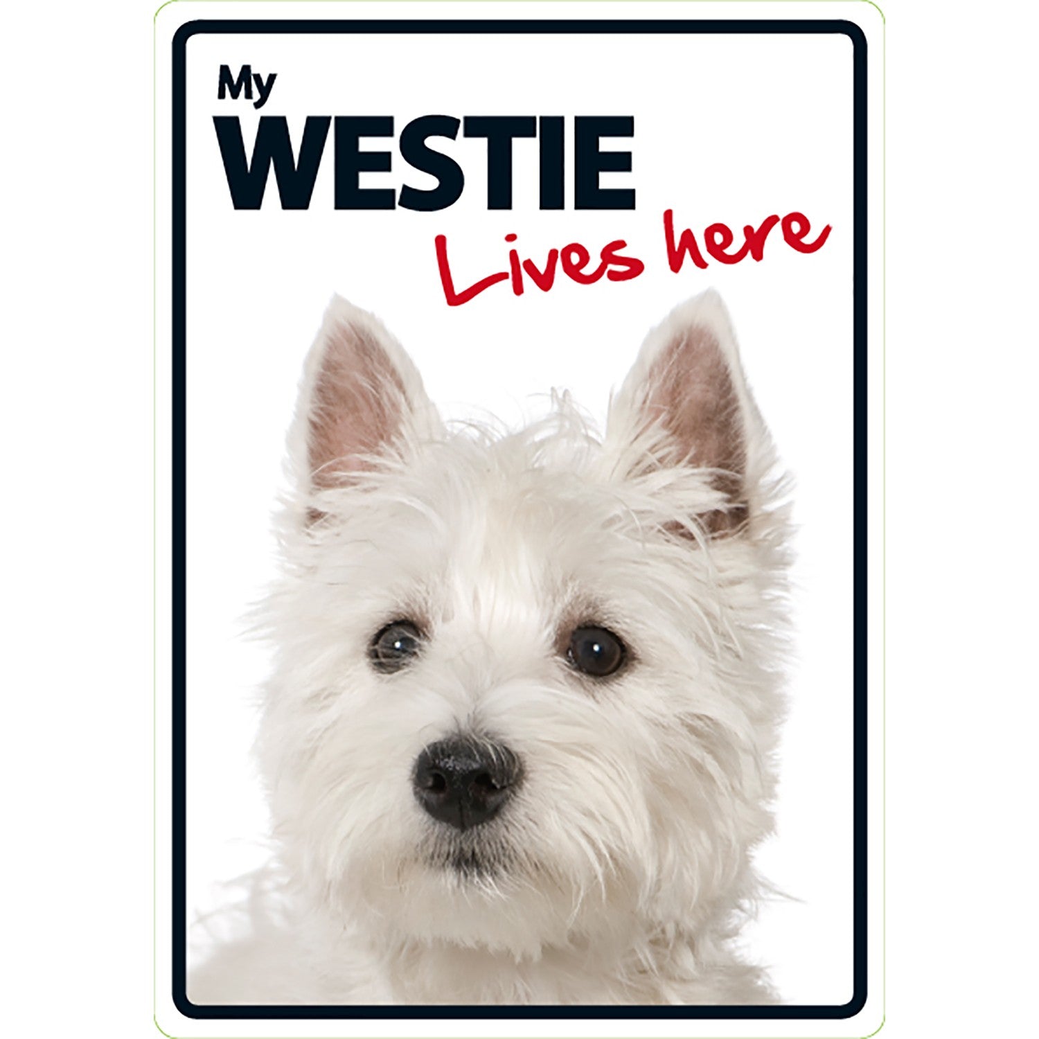 Señal A5 'West Highland Terrier - Lives Here'
