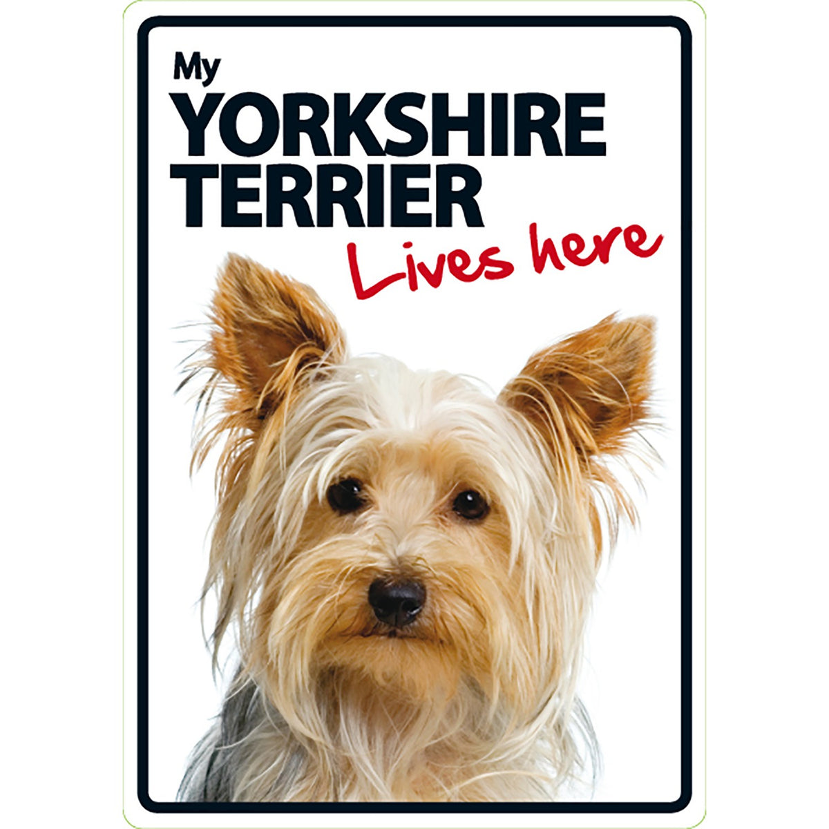 Señal A5 'Yorkshire Terrier - Lives Here'