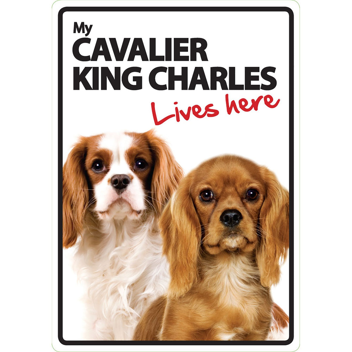 Señal A5 'Cavalier King Charles - Lives Here'