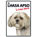 Señal A5 'Lhasa Apso - Lives Here'