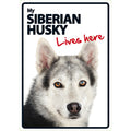 Señal A5 'Siberian Husky - Lives Here'