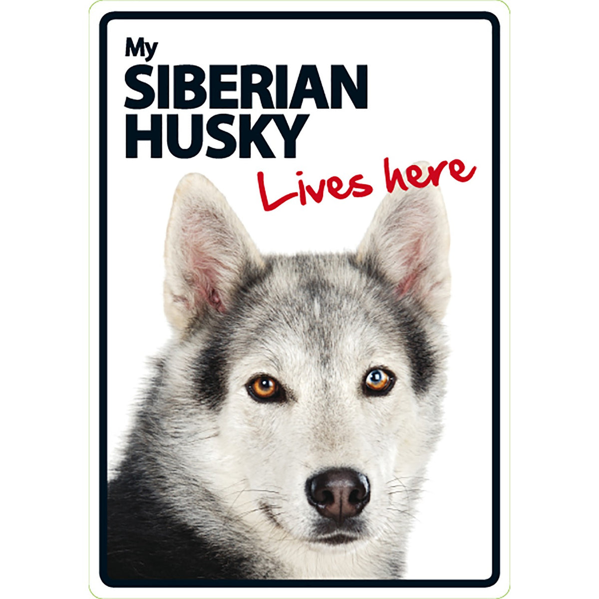 Señal A5 'Siberian Husky - Lives Here'