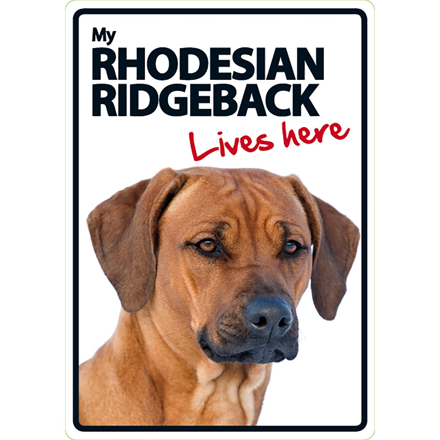 Señal A5 'Rhodesian Ridgeback - Lives Here'