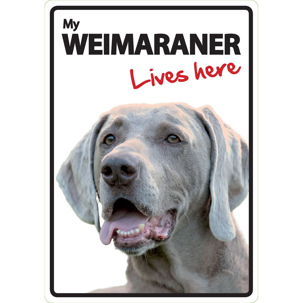 Señal A5 'Weimaraner - Lives Here'