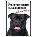 Señal A5 'Staffordshire - Lives Here'