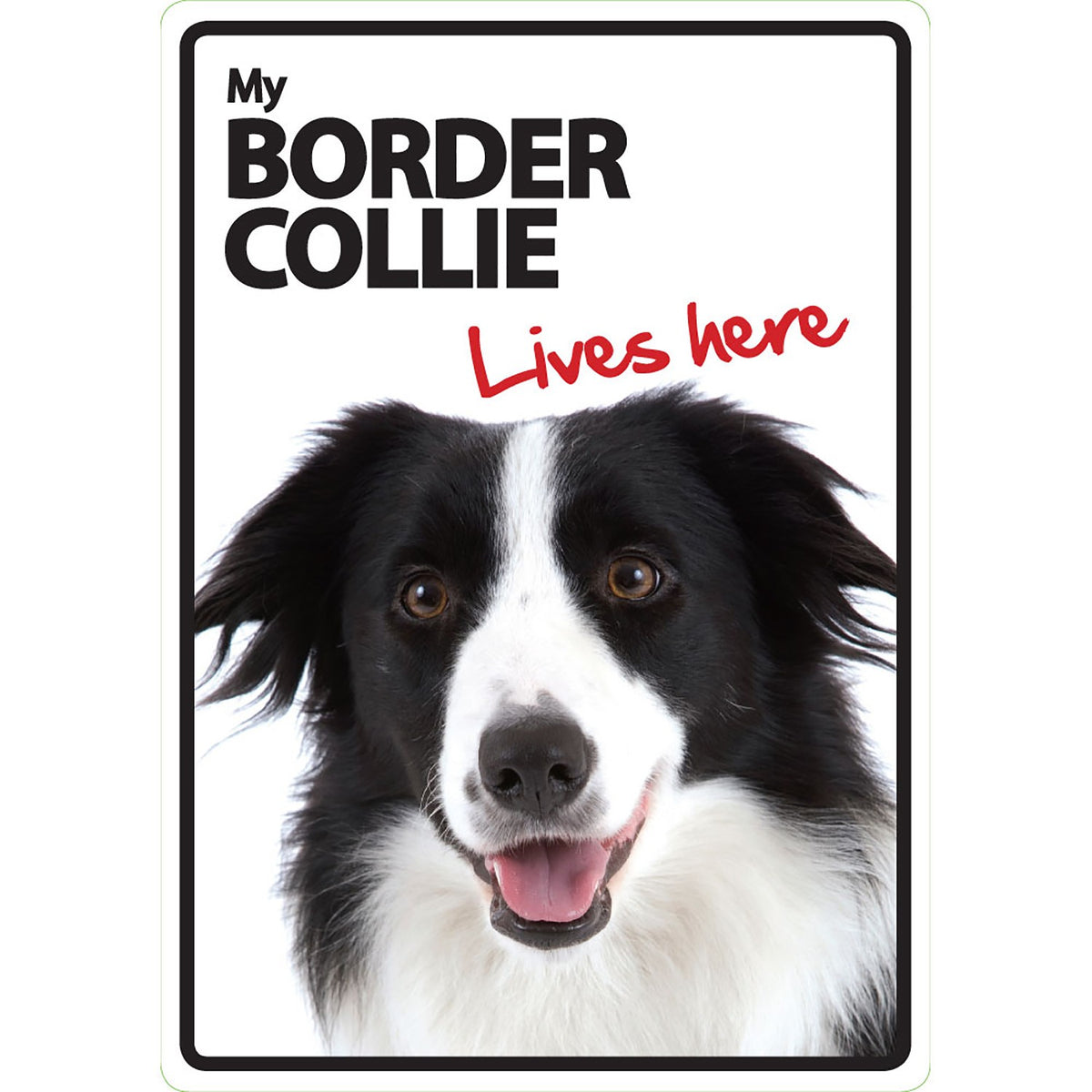 Señal A5 'Border Collie - Lives Here'