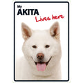 Señal A5 'Akita - Lives Here'