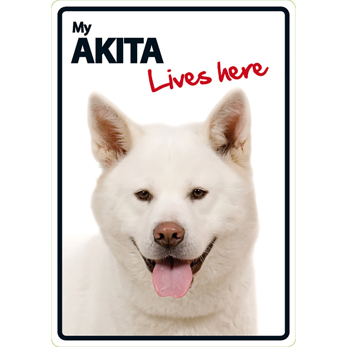 Señal A5 'Akita - Lives Here'