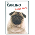 Señal A5 'Carlino - Lives Here'