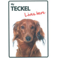 Señal A5 'Teckel - Lives Here'