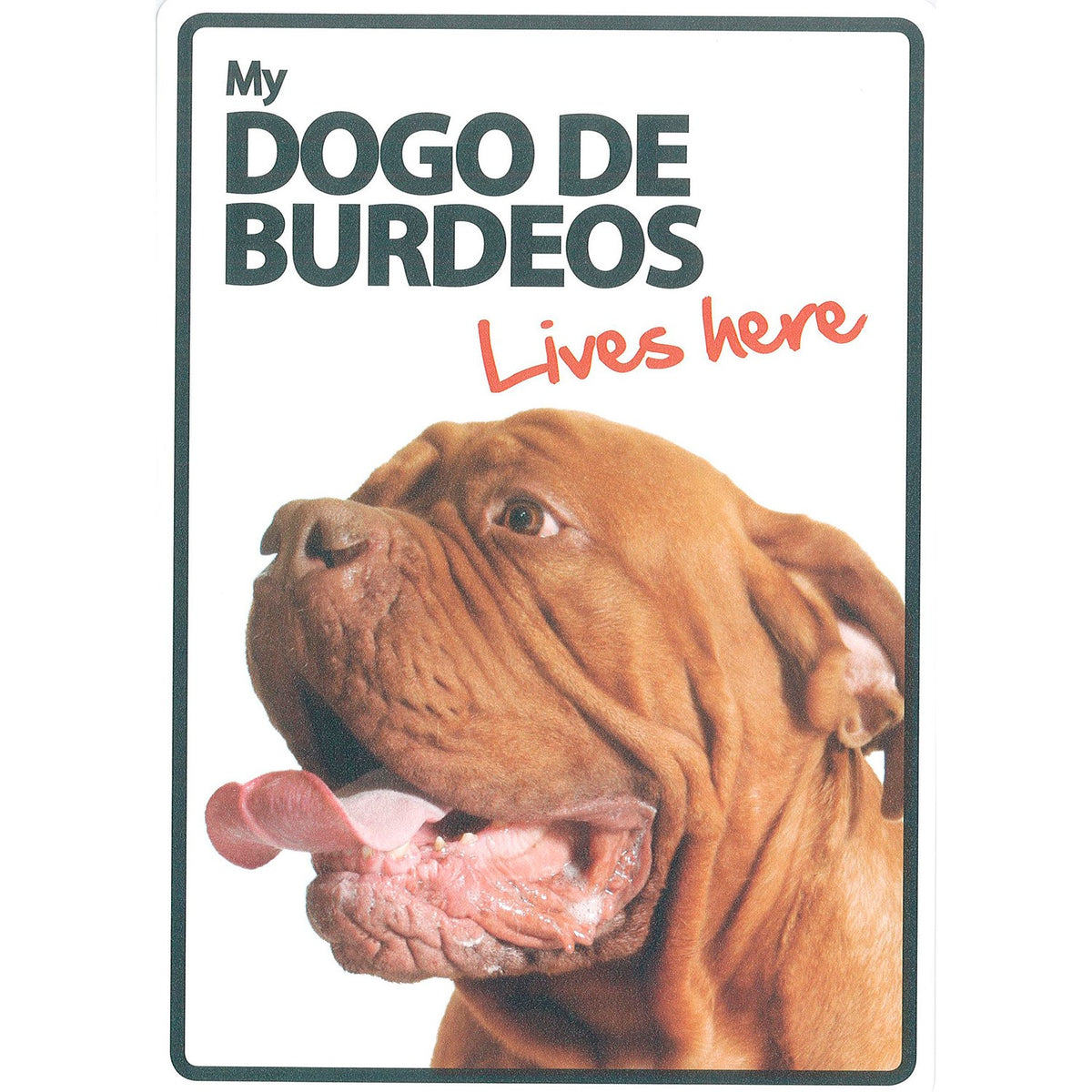 Señal A5 'Dogo de Burdeos - Lives Here'