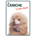 Señal A5 'Caniche - Lives Here'