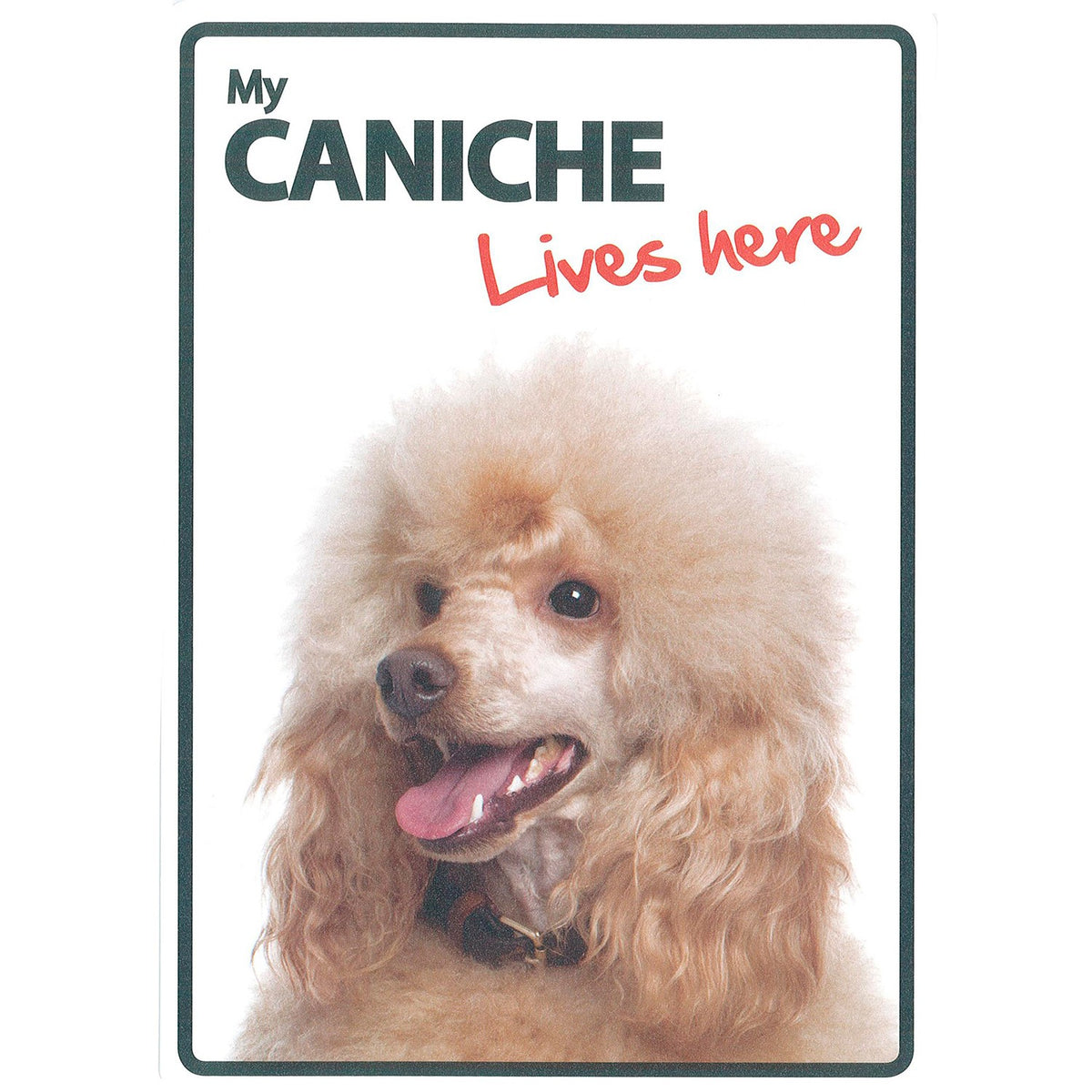 Señal A5 'Caniche - Lives Here'