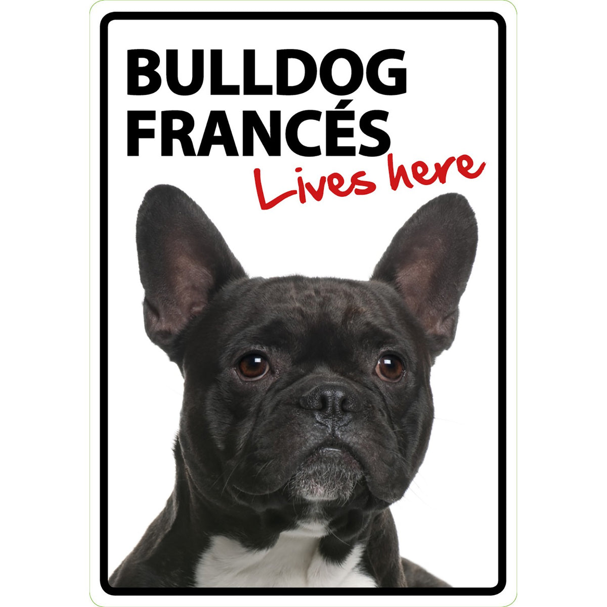 Señal A5 'Bulldog Francés - Lives Here'