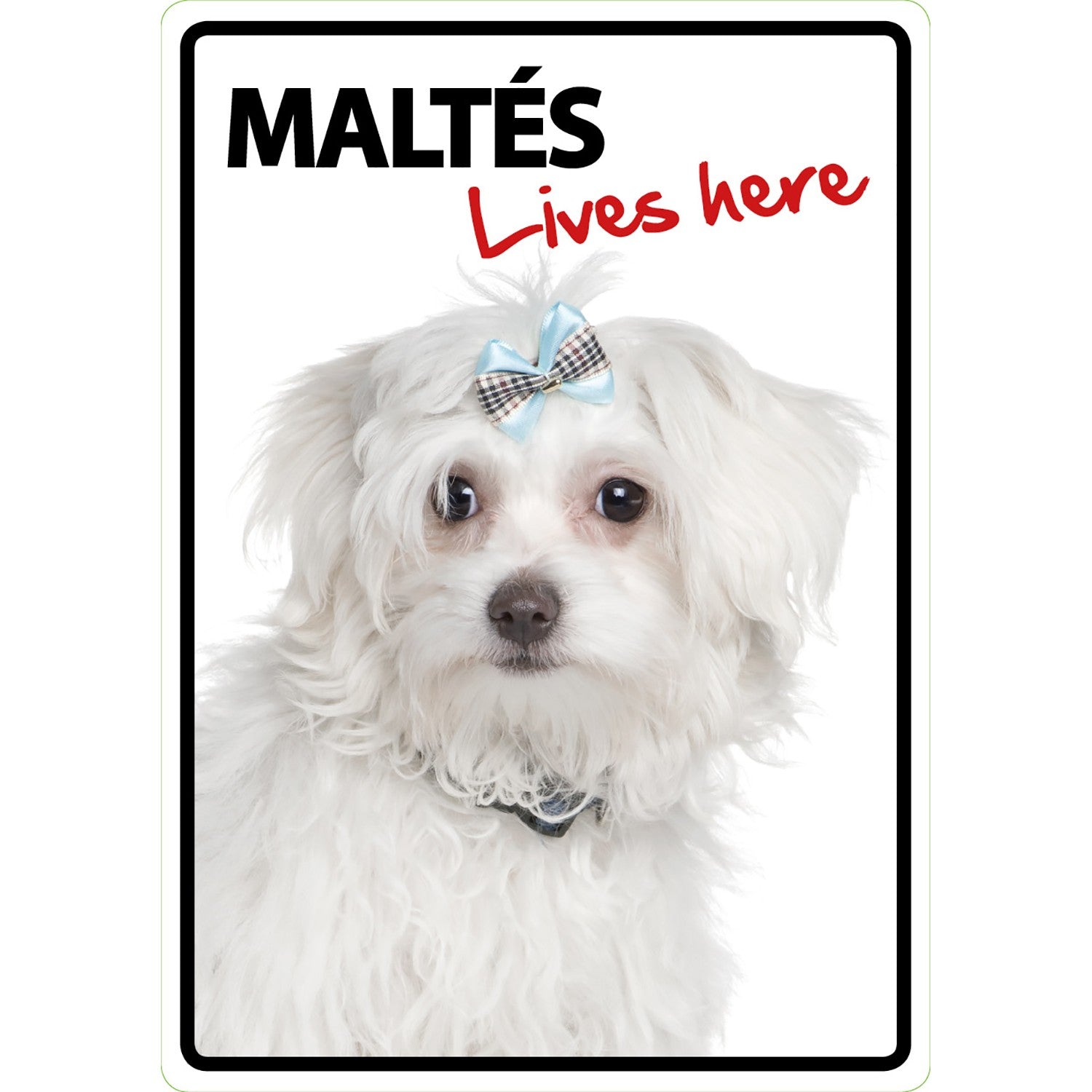 Señal A5 'Maltés - Lives Here'