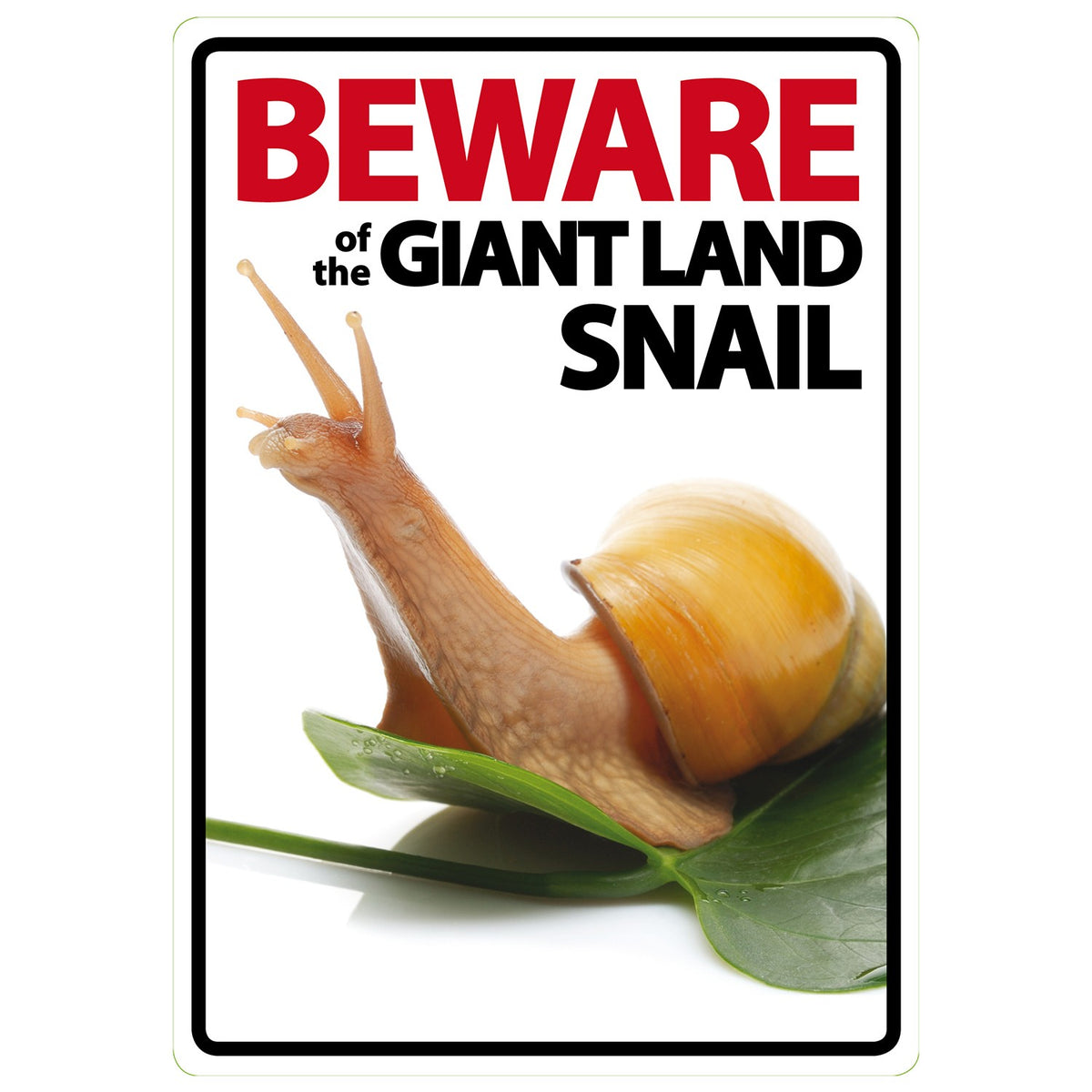 Señal A5 'Beware of the Giant Land Snail'