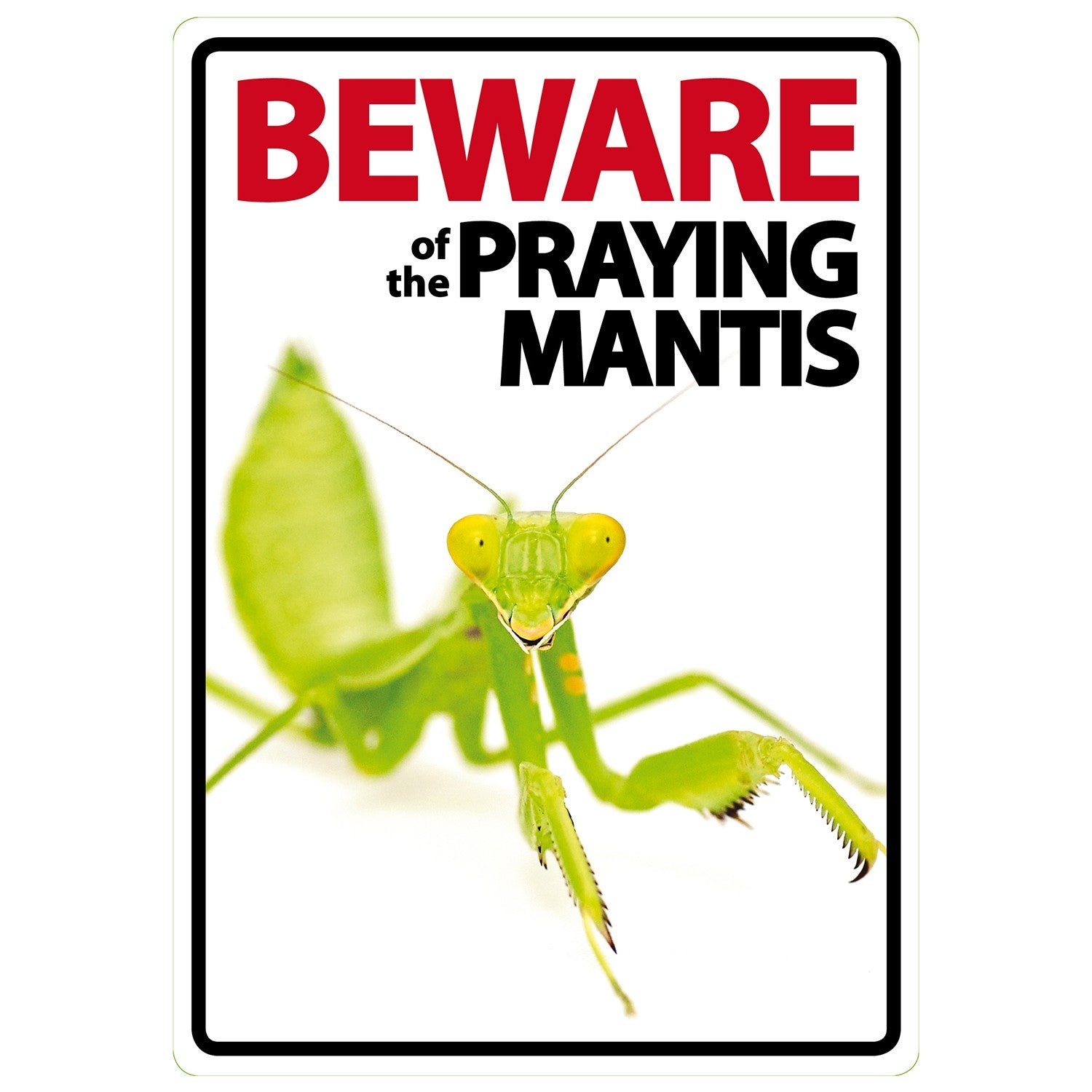 Señal A5 'Beware of the Praying Mantis'