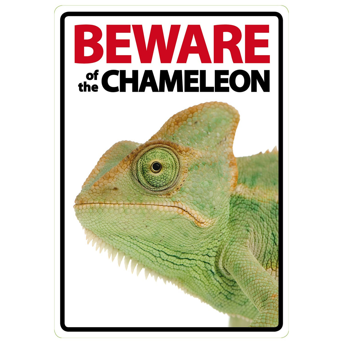 Señal A5 'Beware of the Chameleon'
