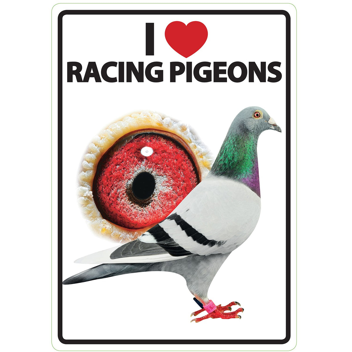 Señal A5 'I Love Racing Pigeons'