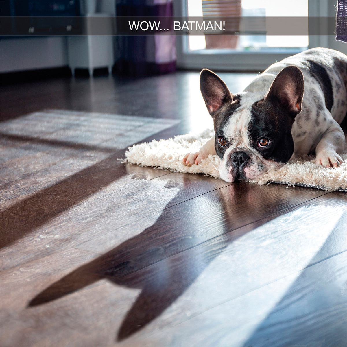 Tarjeta Bulldog Francés Batman
