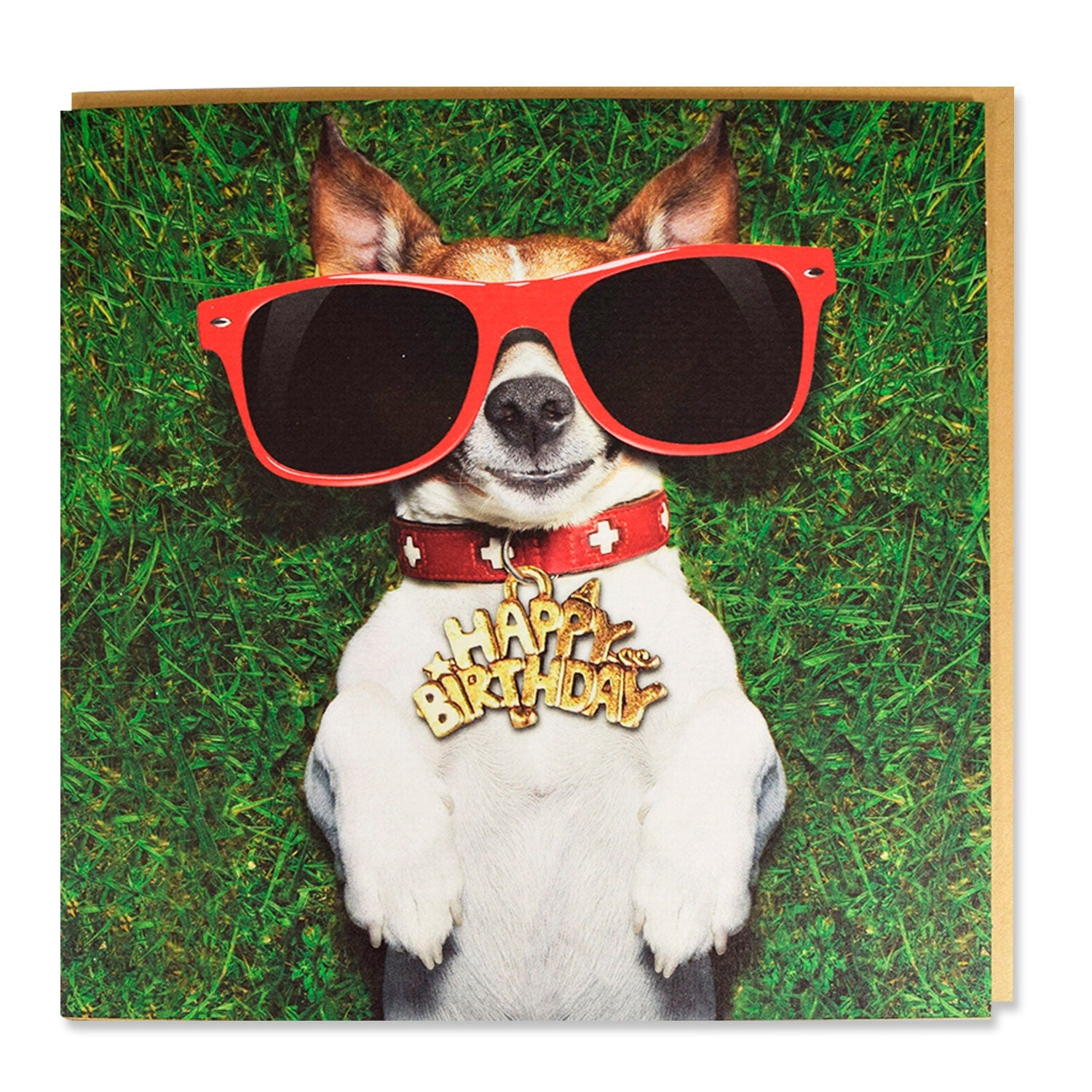 Tarjeta Jack Russel con Gafas 'Happy Birthday'