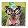 Tarjeta Fashion Staff con Gafas y Sombrero