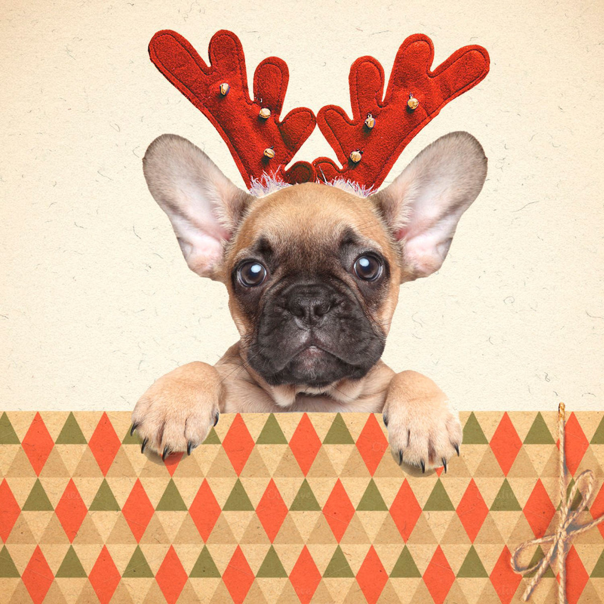Tarjeta Frenchie con Astas de Reno