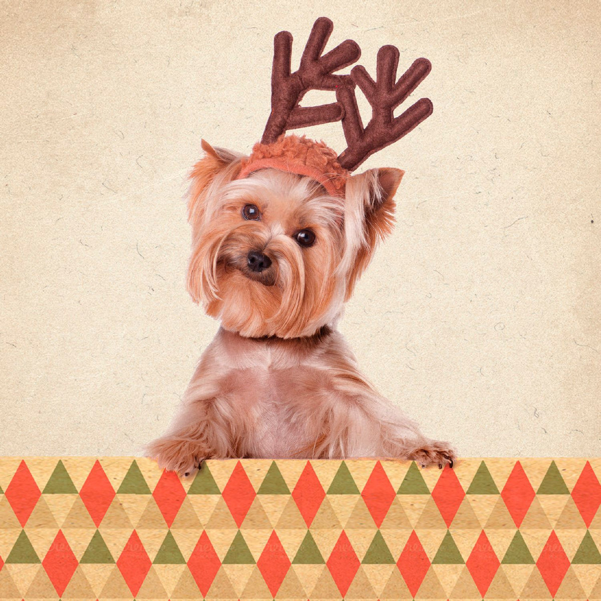 Tarjeta Yorkie con Astas de Reno