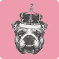 Posavasos Bulldog