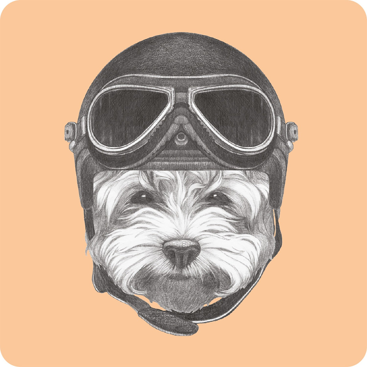 Posavasos Terrier Gorro Aviador