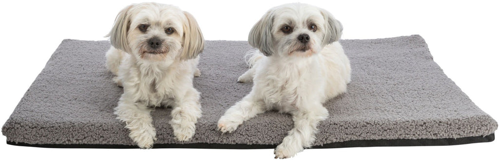 Colchoneta Ortopédica para Perros Vital Bendson