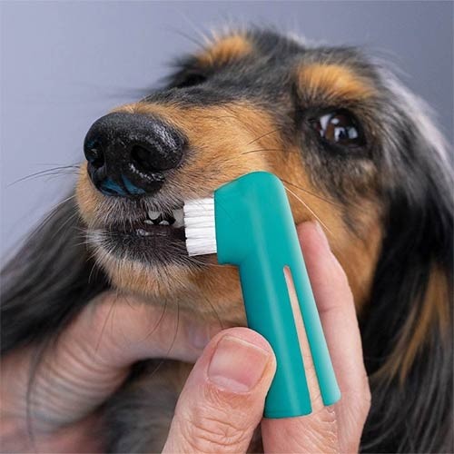 Dediles limpia dientes y encías