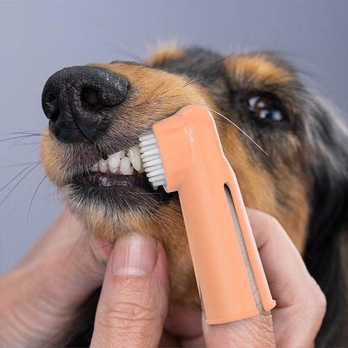 Dediles limpia dientes y encías