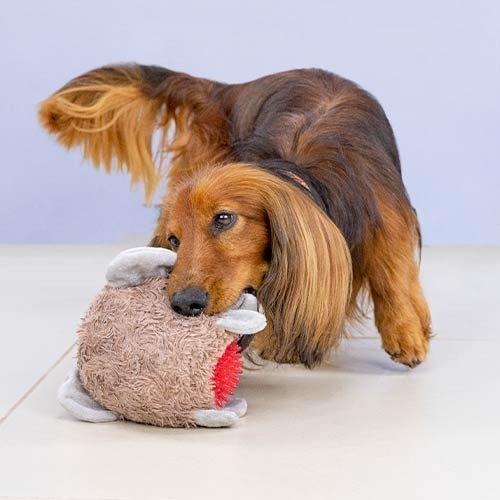 Peluche Bebé Elefante