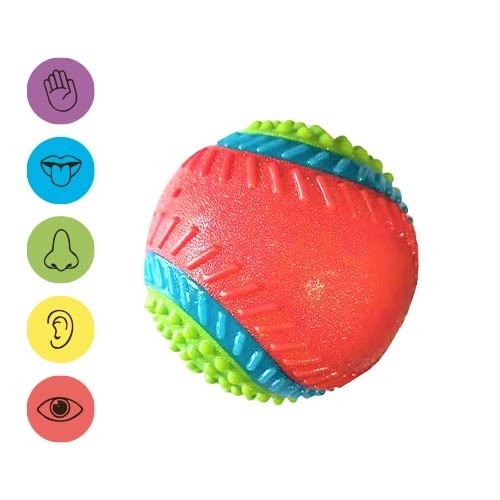 Pelota 5 sentidos