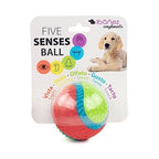 Pelota 5 sentidos