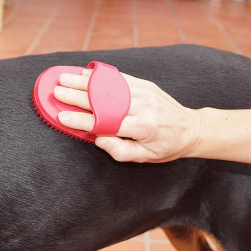 Cepillo de goma oval rojo