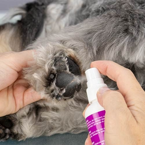 Reparador de almohadillas Kw