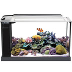 Fluval Evo Acuario Marino, Negro, 19L