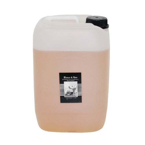 ISB Bianco Nero champú universal de camomila 10 L
