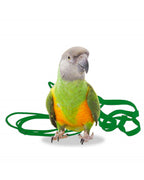 Arnés Aviator para pájaros