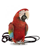 Arnés Aviator para pájaros