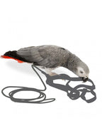Arnés Aviator para pájaros