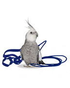 Arnés Aviator para pájaros