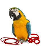 Arnés Aviator para pájaros