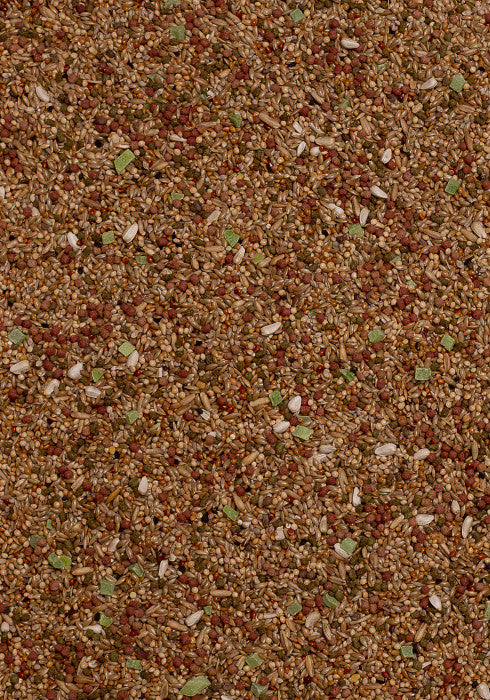 Mixtura para Periquitos Birdelicious