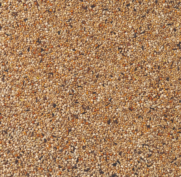 Mixtura para Pájaros Tropicales Premium