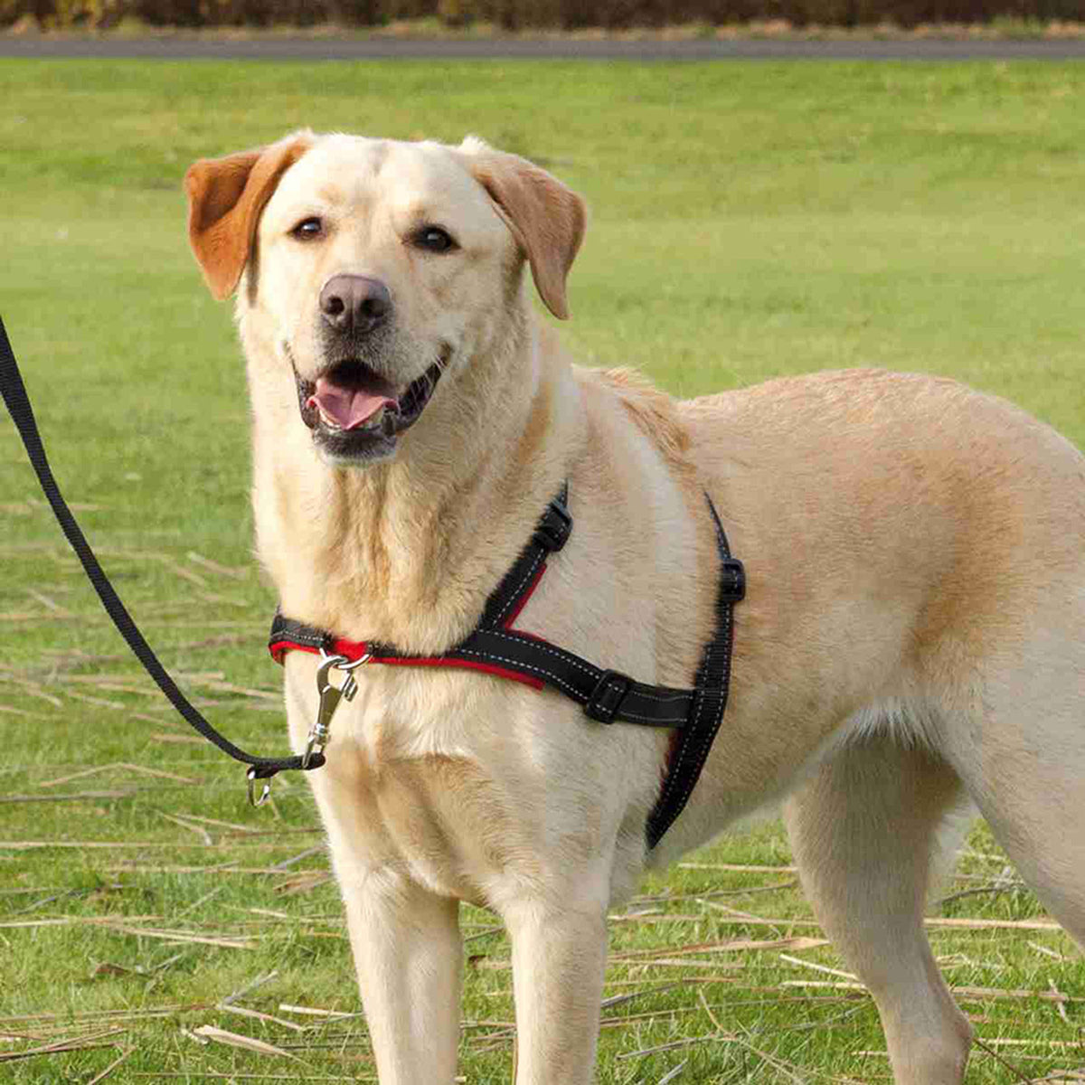 trixie Arnés Guía Lead'n'Walk Soft